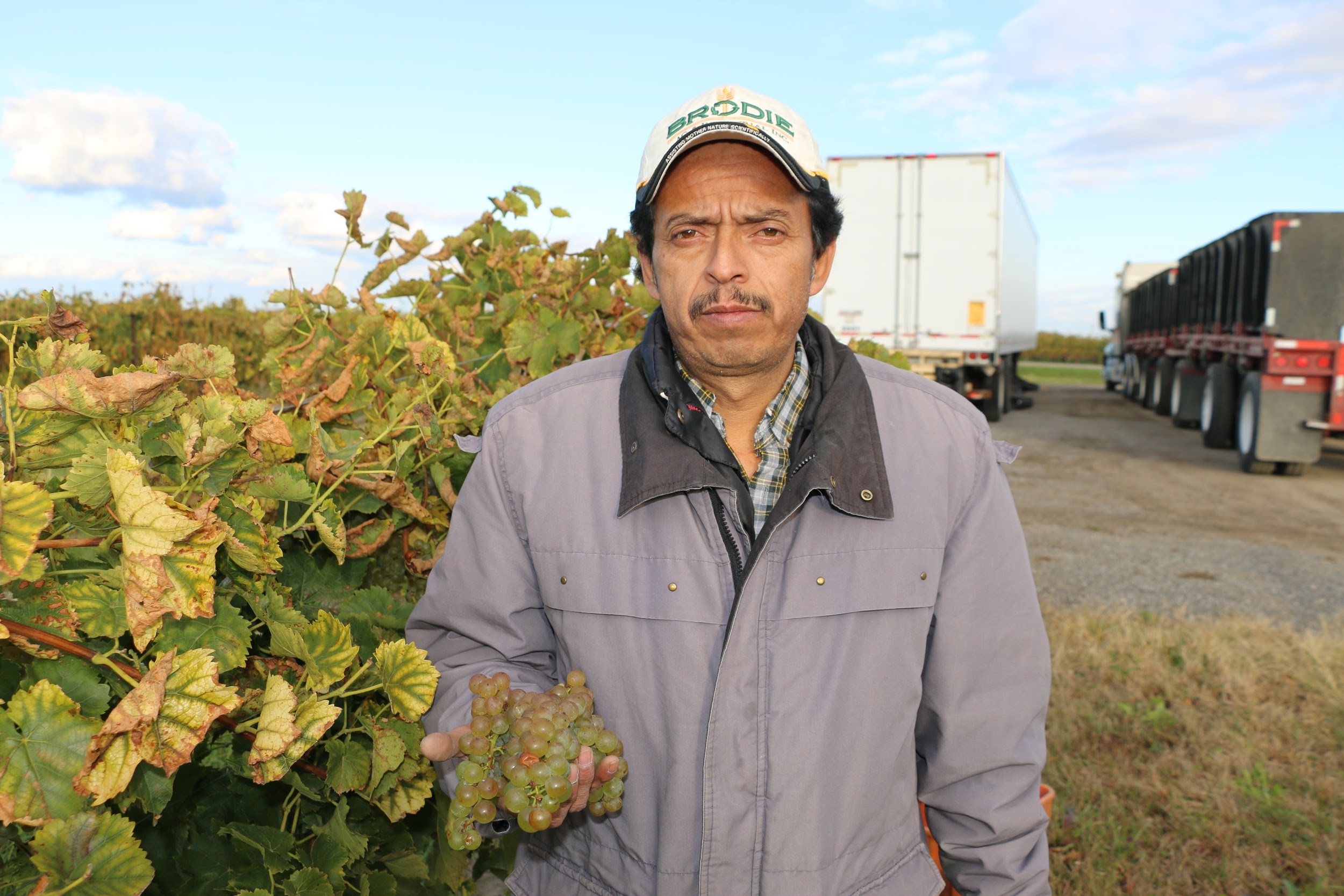 foreign farm worker ramon lopez of reuther farms 