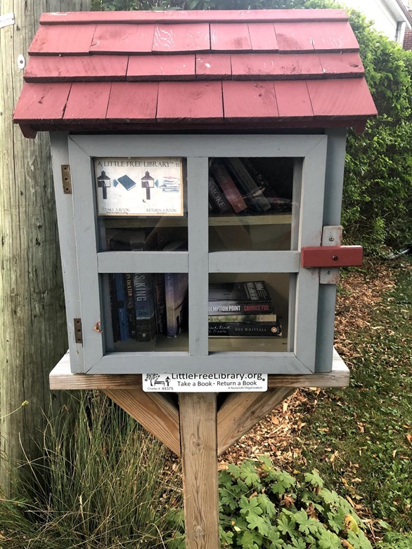 free little libraries 