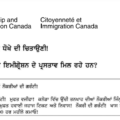 A screenshot of the document released by Citizenship and Immigration Canada