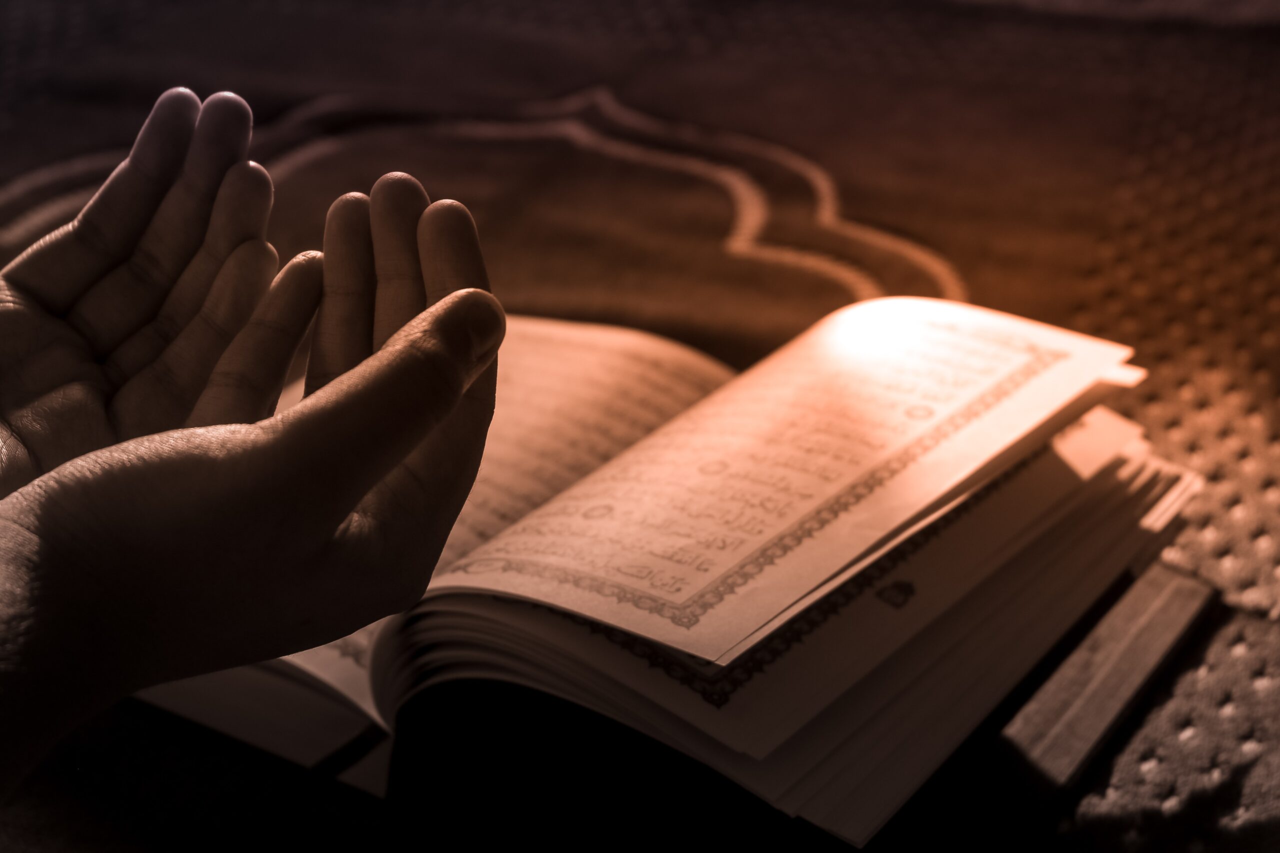 praying hands over a religious book, religion
