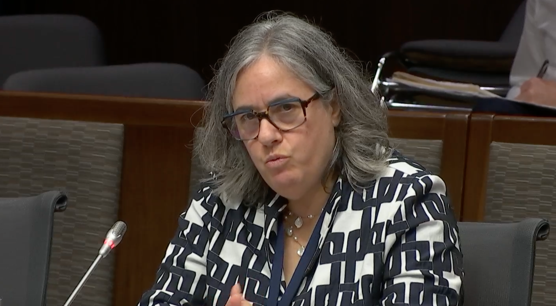 Wendy Drukier, wearing glasses and a black-and-white jacket, speaks into a microphone at a Senate committee hearing.